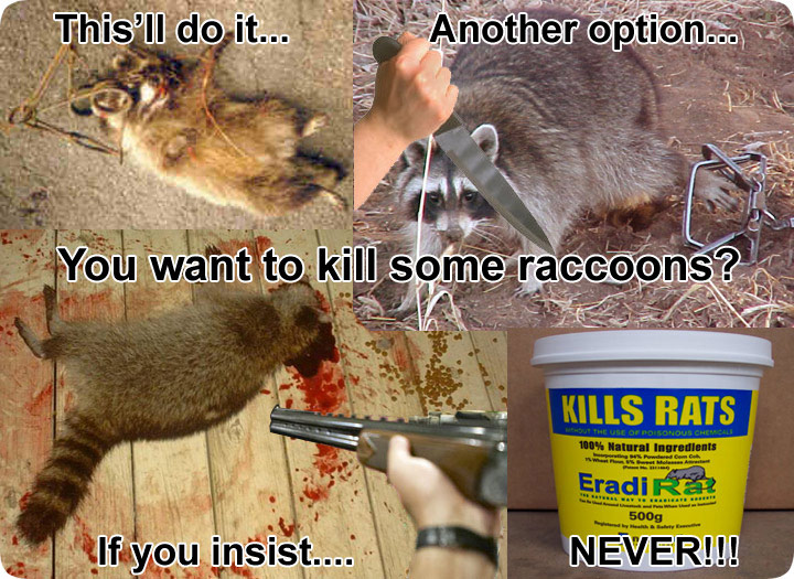 How to Kill Raccoons - Poisons, shooting, lethal grip traps, etc.